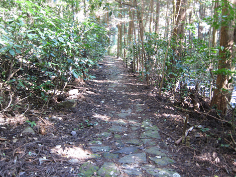 20201105hike (277)